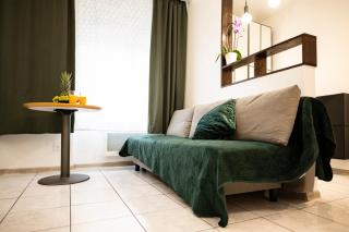 Mega COOL Flat France Suisse - Saint-Louis - 8