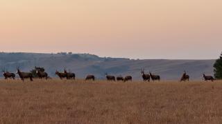 Dullstroom Self Catering Blue Crane Estate 66 - 1