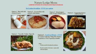 Nature Lodge - A Modern, Exclusive Holiday Home Just for You! - Ella - 6