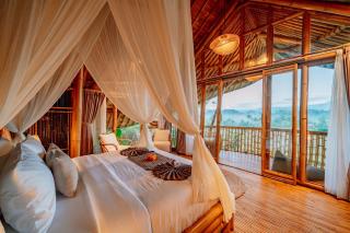 Jiva Bali - Green Dream - 7