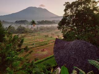 Jiva Bali - Green Dream - Selat - 9