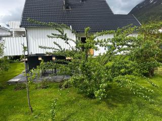 Nice apartment with sauna near rough mountains - - 8