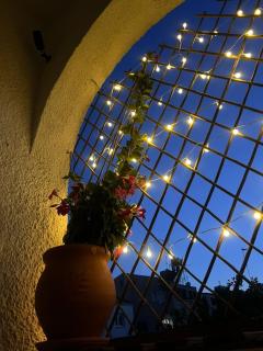 Casi-Homes - 4