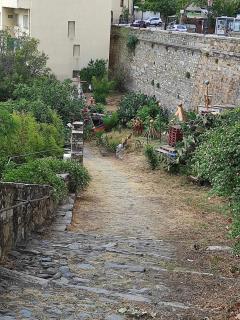 nid d'aigle - Bastia - 9