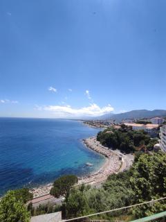 nid d'aigle - Bastia - 7