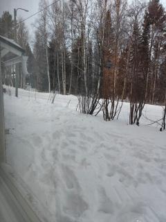 K&H Apartment Kolpene - Rovaniemi - 1