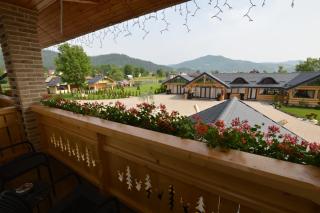 DOMENIUL NORDULUI BUCOVlNA - Vama - 1