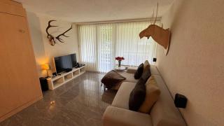 Stylish Alpine Studio in Davos, Wifi & Netflix - Davos - 6