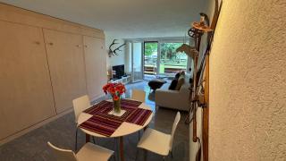 Stylish Alpine Studio in Davos, Wifi & Netflix - Davos - 3