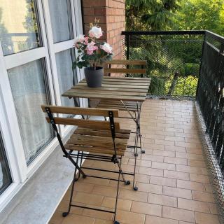 rosazzurro15 - Reggio Emilia - 4