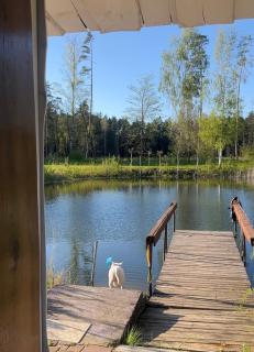 Guesthouse Forest Soul - Jelgava - 2