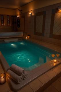 Villa Prague - Wellness, Pool, Jacuzzi, Sauna, Garden, Terraces - Praga - 9