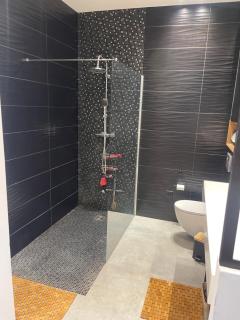 Apparemment luxueux - Biot - 5
