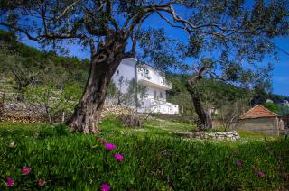 Apartments Frano Ropa - Ropa - 0