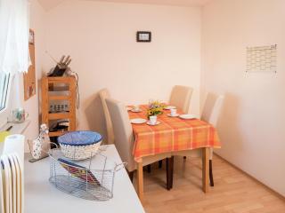 Cozy Apartment in Schwenningen with Garden - Villingen-Schwenningen - 5