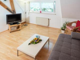 Cozy Apartment in Schwenningen with Garden - Villingen-Schwenningen - 6