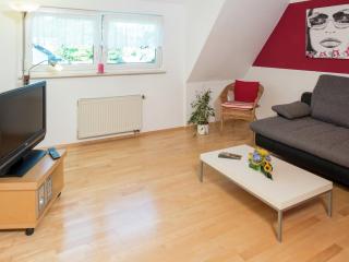 Cozy Apartment in Schwenningen with Garden - Villingen-Schwenningen - 8