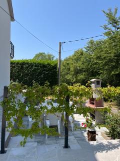 Apartmani Foresta - 5