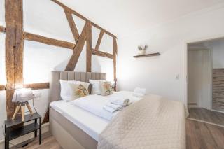 BackHome - SUITE L - Parkhaus - Fantastische Schlosslage - SmartTV - Waschmaschine - Netflix - 50qm - 24h Checkin- Apartment 1 - Ludwigsburg - 0