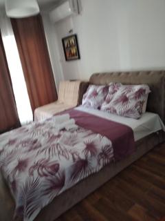 Apartman Mata Banja Vrujci - Rakari - 1