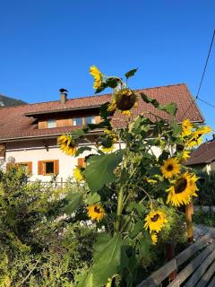 Ferienwohnung in Hermagor Pressegger See mit eigenem Garten und Carport - Hermagor - 7
