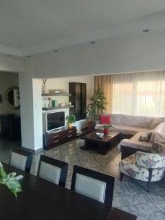 Palio Luxury Apartment - PalaiónTsiflíkion - 5