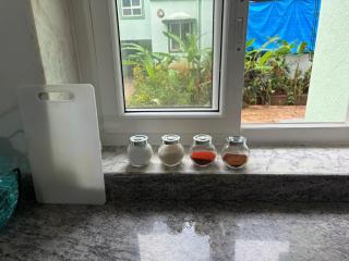 Candolim kanha pool flat - Candolim - 8