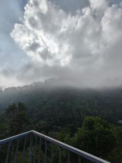 Aura Thekkady - Jāmb - 1