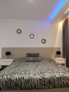 Luxury Apartment No. 202 (Napa Ace) - 7