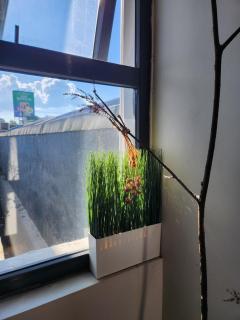 Ganada Suites Deluxe 가나다 스위트 - 2