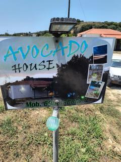Avocado house - Finikounta - 6