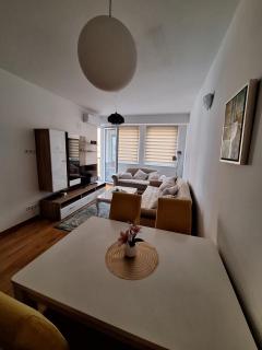 The One apartment - Free parking - Sarajevo - 8