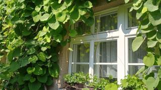 Green Point - Praag - 7