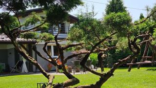 Apartament Willa Pod Sosnami Zator Przeciszów - Zator - 7