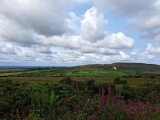 Bell Tent 1 - St Austell - 7