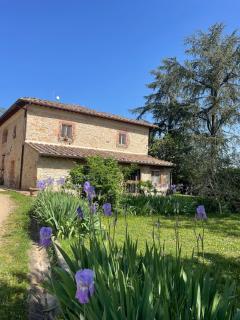 Agriturismo La Segolina - Colle di Val d'Elsa - 9