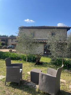 Agriturismo La Segolina - Colle di Val d'Elsa - 7