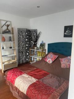 Studio Bas de villa avec grande terrasse - Piedigriggio - 3
