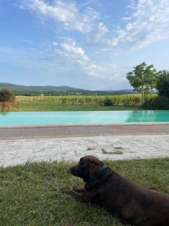 Agriturismo La Segolina - Colle di Val d'Elsa - 6