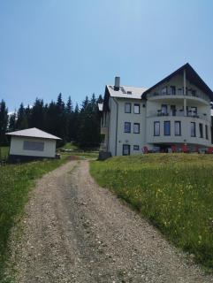 Vila de pe deal Poiana stampei - Poiana Stampei - 8