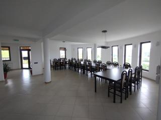 Vila de pe deal Poiana stampei - Poiana Stampei - 5
