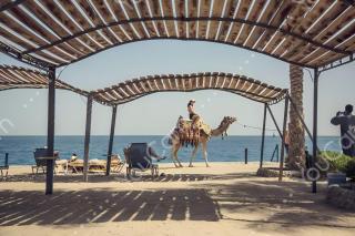 Al Dora Residence Suites Hurghada - Hurghada - 9