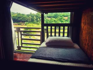 Wild Lodge Taman Negara - Kuala Tahan - 7