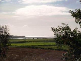 Idyllically located, comfortably furnished and renovated holiday apartment - Boldixum - 4