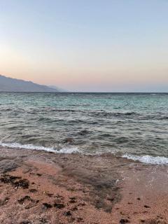 Palm nest home - Dahab - 9