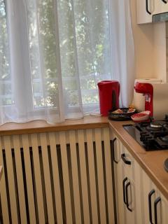 Ultracentral cochet apartment ! - Craiova - 5