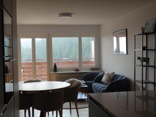 Bel Appartement Centre Crans Montana, Air Frais Vue Alpine - Crans-Montana - 4