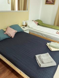 Cool Apartman 1 Centar Smederevska Palanka - Smederevska Palanka - 9