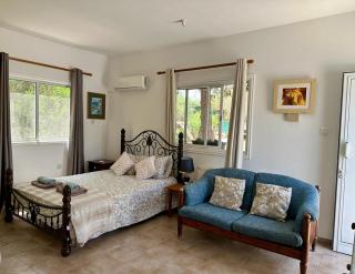 Detached Cozy Studio - Paralimni - 2