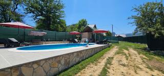 Villa Green Oasis Apartments - Sarajevo - 5
